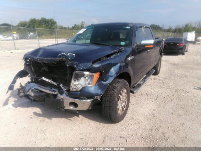 Photo 1 VIN: 1FTFW1EF6DKD13981 - FORD F-150 