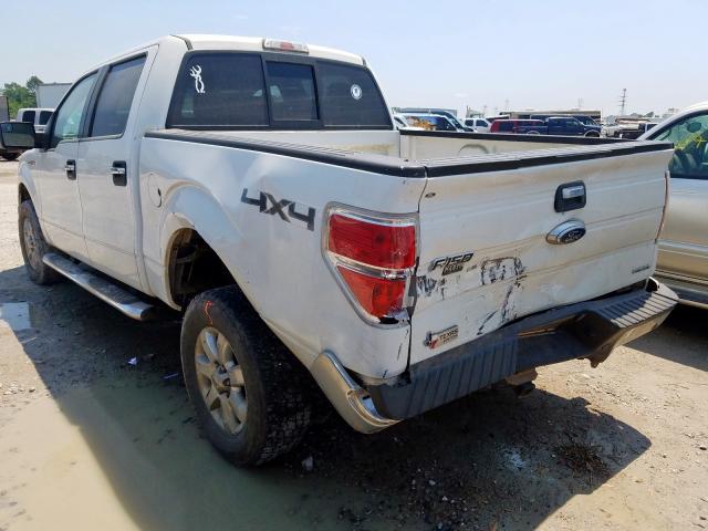 Photo 2 VIN: 1FTFW1EF6DKD79804 - FORD F150 SUPER 