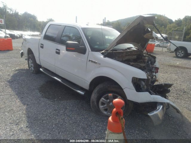 Photo 0 VIN: 1FTFW1EF6DKF24775 - FORD F-150 