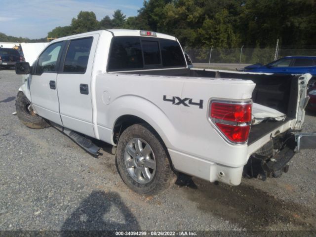 Photo 2 VIN: 1FTFW1EF6DKF24775 - FORD F-150 