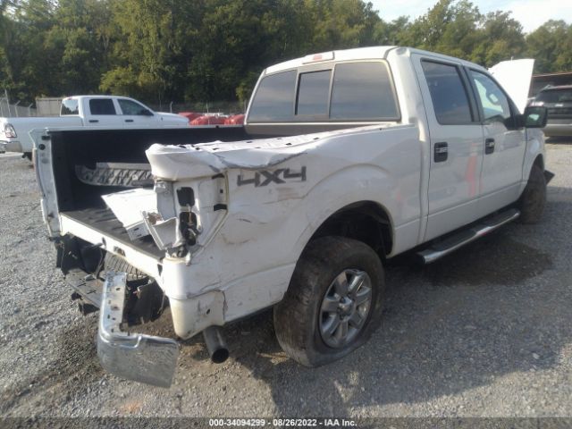 Photo 3 VIN: 1FTFW1EF6DKF24775 - FORD F-150 