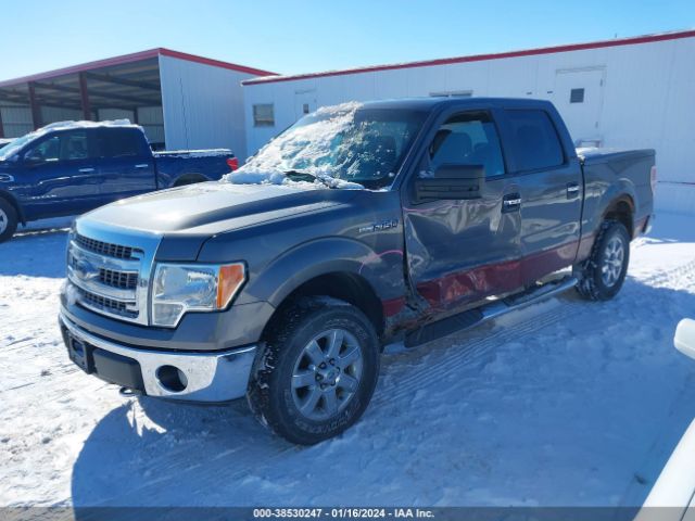 Photo 1 VIN: 1FTFW1EF6DKF25957 - FORD F-150 