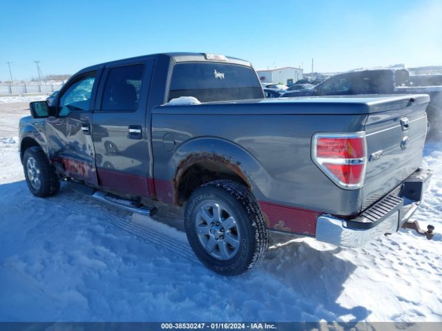 Photo 2 VIN: 1FTFW1EF6DKF25957 - FORD F-150 