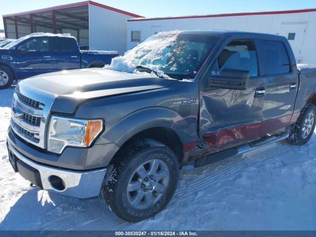 Photo 5 VIN: 1FTFW1EF6DKF25957 - FORD F-150 