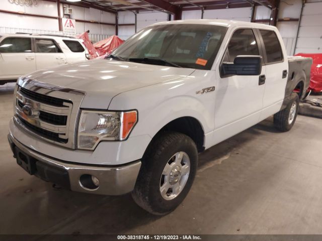 Photo 1 VIN: 1FTFW1EF6DKF78092 - FORD F-150 