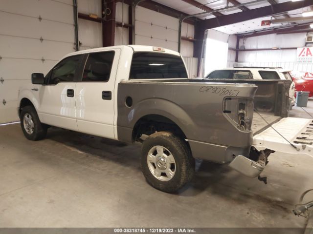 Photo 2 VIN: 1FTFW1EF6DKF78092 - FORD F-150 