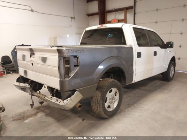 Photo 3 VIN: 1FTFW1EF6DKF78092 - FORD F-150 