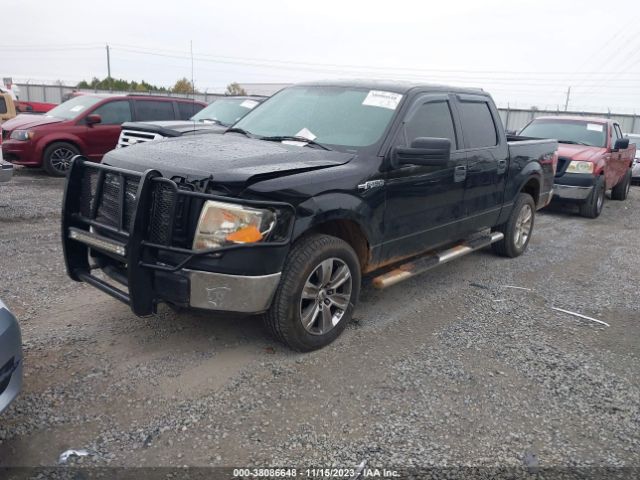 Photo 1 VIN: 1FTFW1EF6DKG16808 - FORD F150 