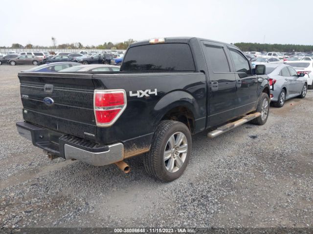 Photo 3 VIN: 1FTFW1EF6DKG16808 - FORD F150 