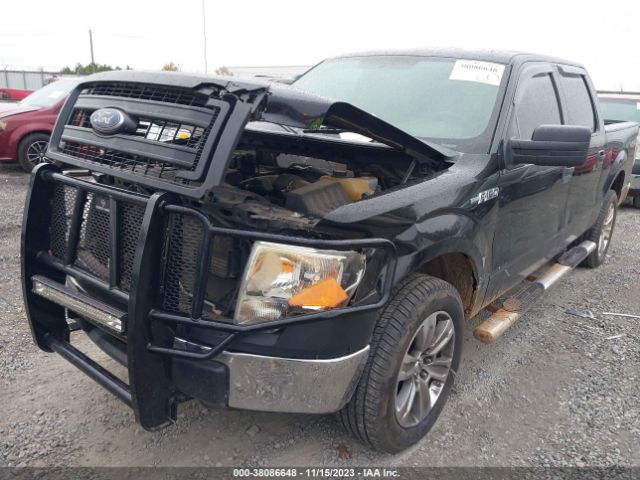 Photo 5 VIN: 1FTFW1EF6DKG16808 - FORD F150 