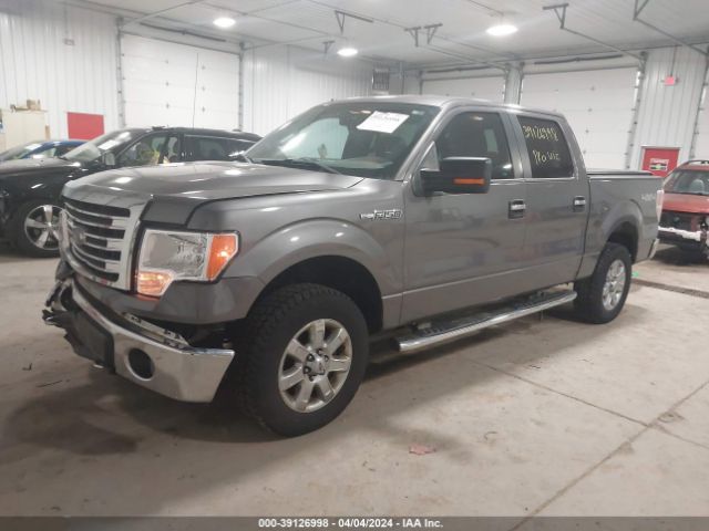 Photo 1 VIN: 1FTFW1EF6DKG28599 - FORD F150 