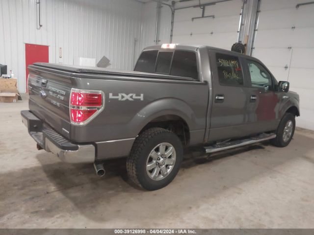 Photo 3 VIN: 1FTFW1EF6DKG28599 - FORD F150 