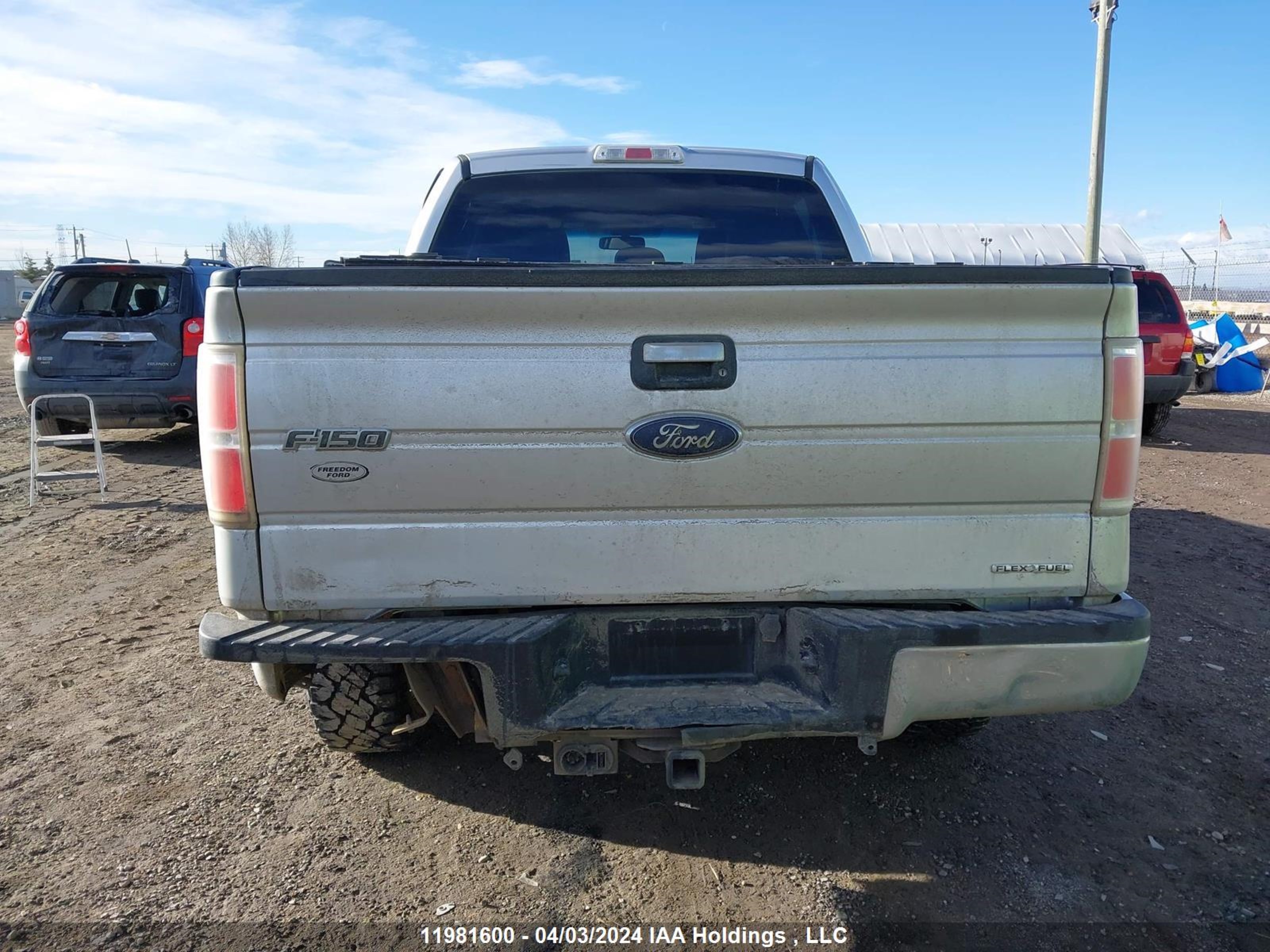 Photo 15 VIN: 1FTFW1EF6EFB22295 - FORD F-150 