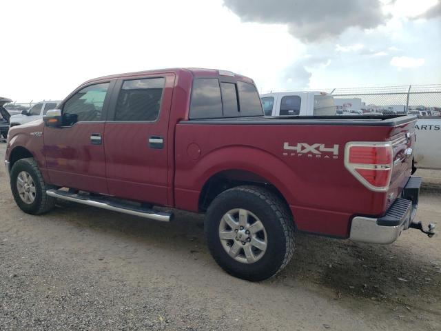 Photo 1 VIN: 1FTFW1EF6EKD03789 - FORD F-150 