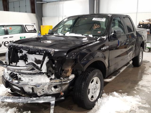 Photo 8 VIN: 1FTFW1EF6EKE24483 - FORD F150 SUPER 