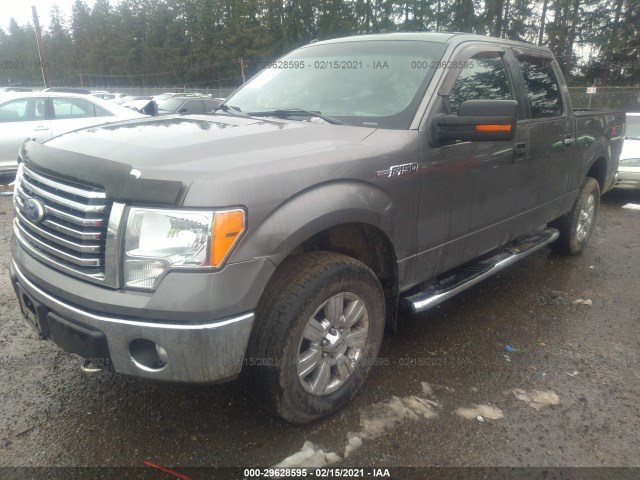 Photo 1 VIN: 1FTFW1EF7BFA10097 - FORD F-150 