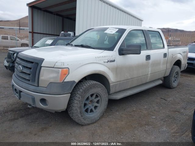 Photo 1 VIN: 1FTFW1EF7BFC28699 - FORD F-150 