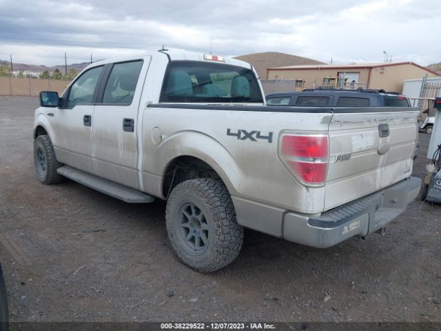 Photo 2 VIN: 1FTFW1EF7BFC28699 - FORD F-150 