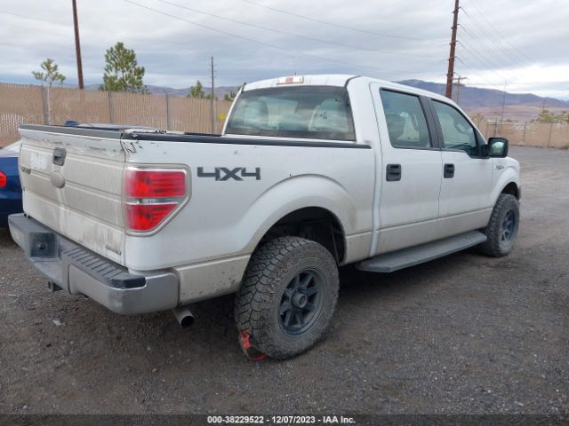 Photo 3 VIN: 1FTFW1EF7BFC28699 - FORD F-150 