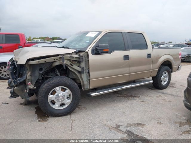 Photo 1 VIN: 1FTFW1EF7BFC48399 - FORD F-150 