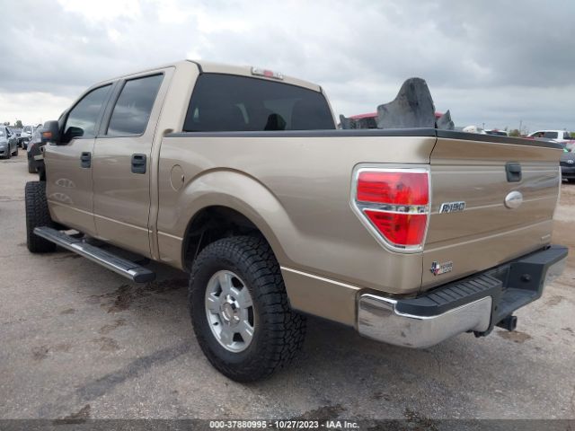 Photo 2 VIN: 1FTFW1EF7BFC48399 - FORD F-150 