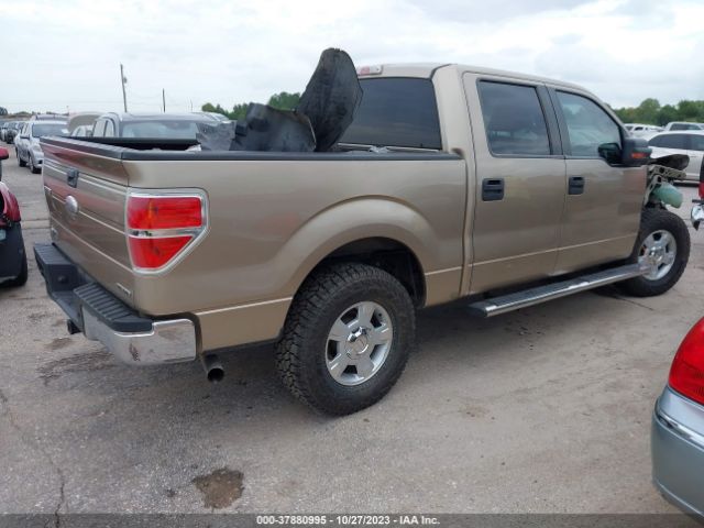 Photo 3 VIN: 1FTFW1EF7BFC48399 - FORD F-150 