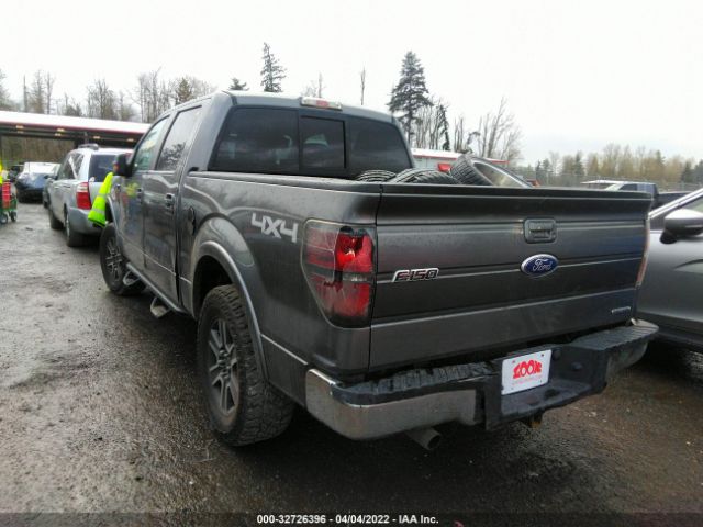 Photo 2 VIN: 1FTFW1EF7BFD32917 - FORD F-150 