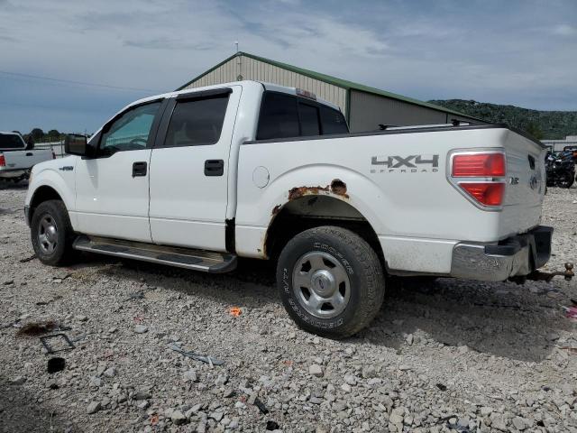 Photo 1 VIN: 1FTFW1EF7BKD23335 - FORD F150 SUPER 