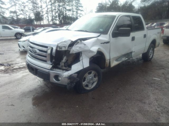 Photo 1 VIN: 1FTFW1EF7BKD68825 - FORD F-150 