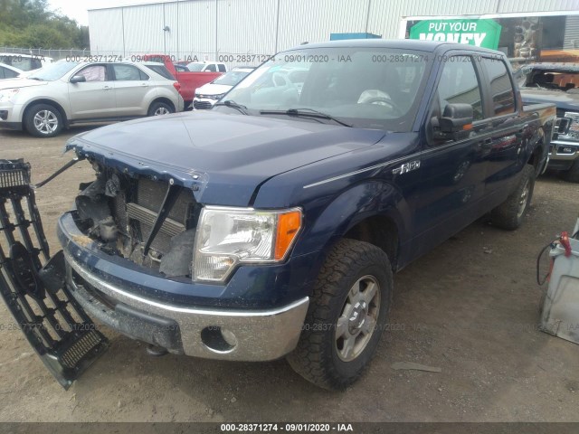 Photo 1 VIN: 1FTFW1EF7CFC01455 - FORD F-150 