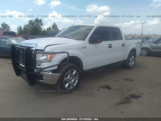 Photo 1 VIN: 1FTFW1EF7DFA60016 - FORD F-150 