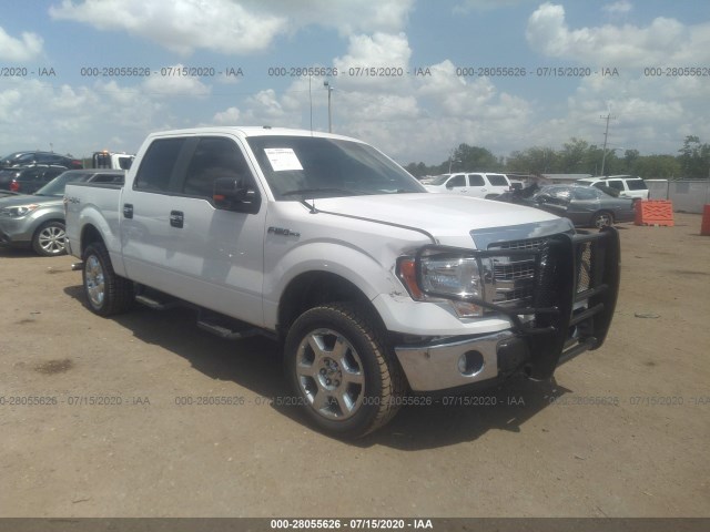 Photo 5 VIN: 1FTFW1EF7DFA60016 - FORD F-150 