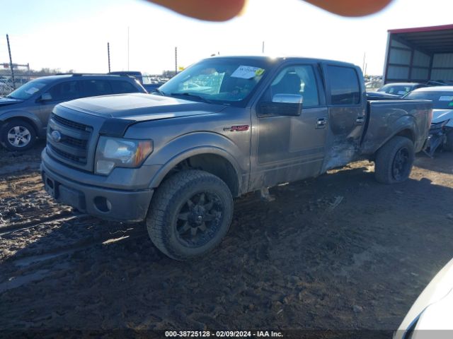 Photo 1 VIN: 1FTFW1EF7DFB12602 - FORD F-150 