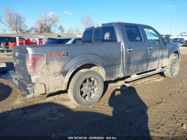 Photo 3 VIN: 1FTFW1EF7DFB12602 - FORD F-150 