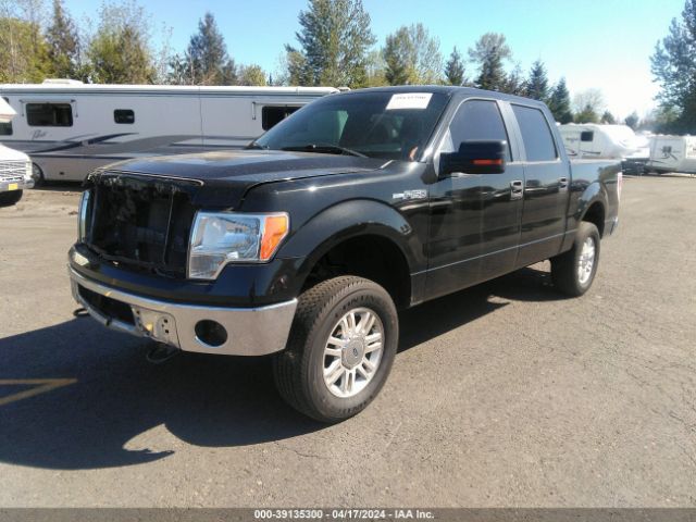 Photo 1 VIN: 1FTFW1EF7DFD04048 - FORD F150 