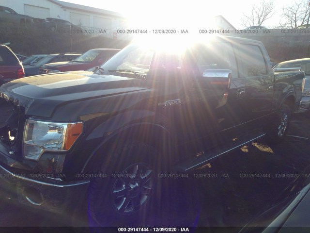 Photo 1 VIN: 1FTFW1EF7DKE34356 - FORD F-150 