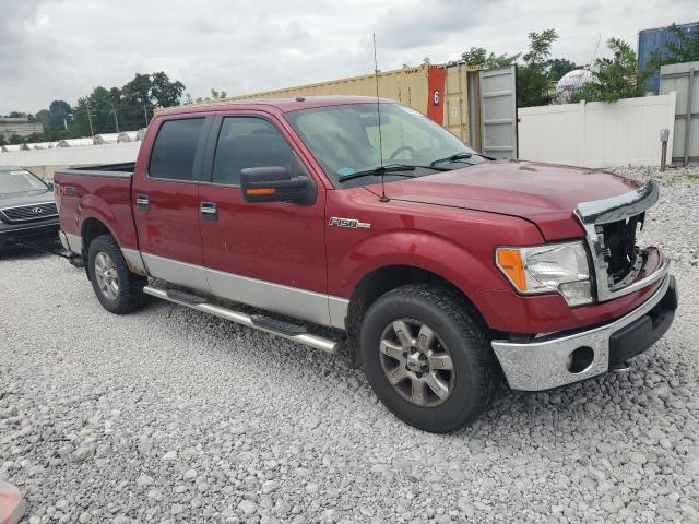 Photo 3 VIN: 1FTFW1EF7EFC56264 - FORD F150 SUPER 