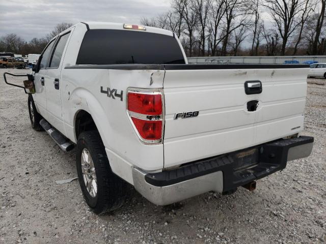 Photo 2 VIN: 1FTFW1EF7EKD27051 - FORD F150 SUPER 