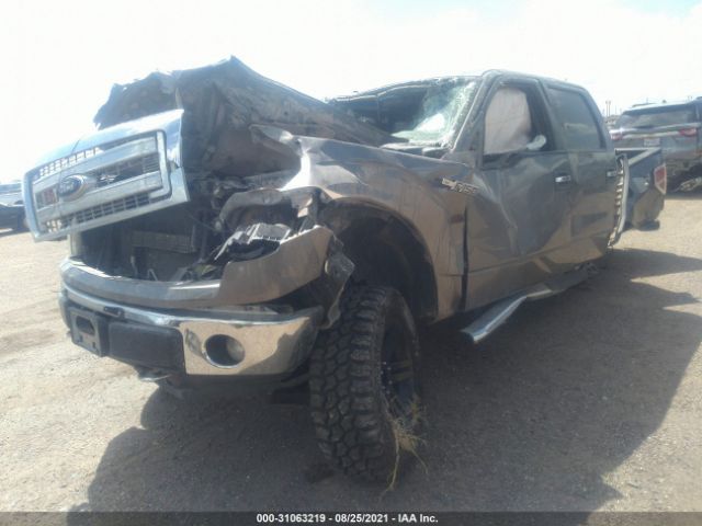 Photo 1 VIN: 1FTFW1EF7EKD44061 - FORD F-150 