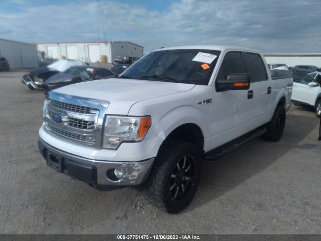 Photo 1 VIN: 1FTFW1EF7EKD99884 - FORD F-150 