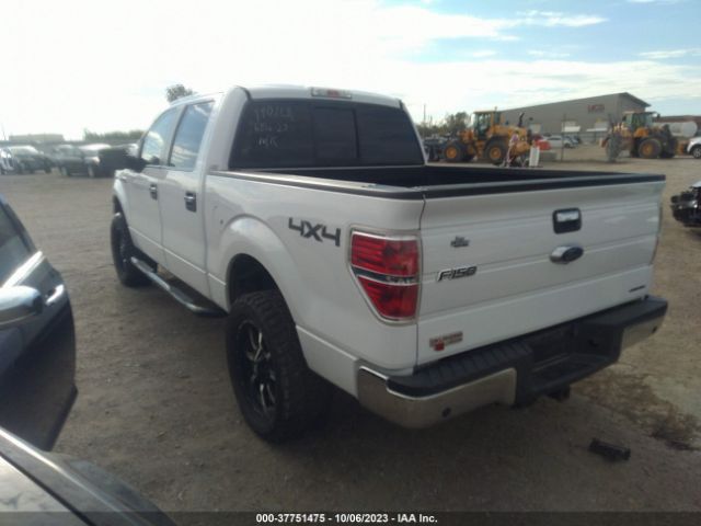 Photo 2 VIN: 1FTFW1EF7EKD99884 - FORD F-150 