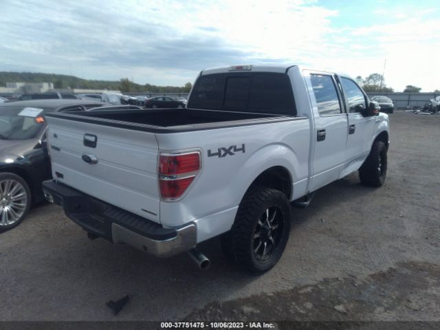 Photo 3 VIN: 1FTFW1EF7EKD99884 - FORD F-150 