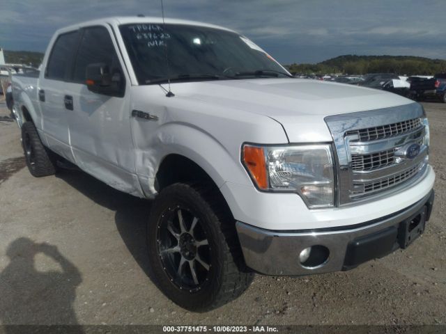 Photo 5 VIN: 1FTFW1EF7EKD99884 - FORD F-150 