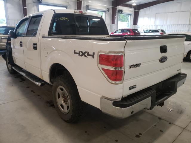 Photo 2 VIN: 1FTFW1EF7EKE01049 - FORD F150 SUPER 