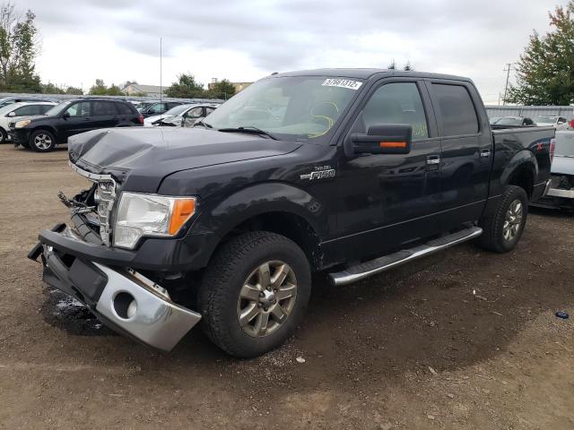 Photo 1 VIN: 1FTFW1EF7EKF81651 - FORD F150 SUPER 