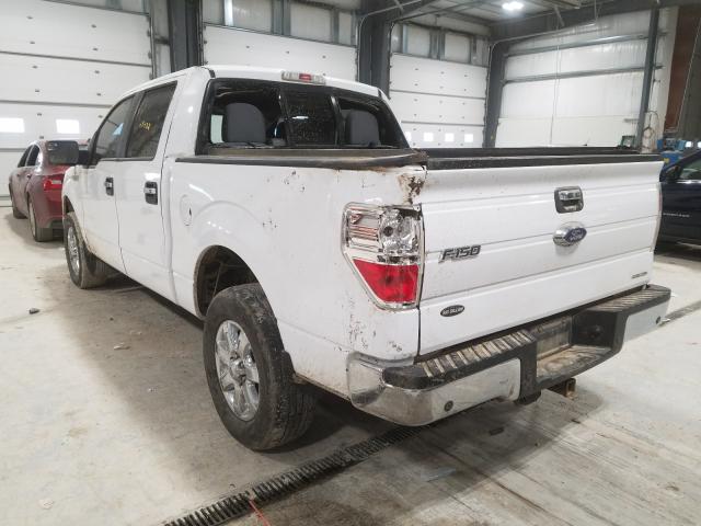 Photo 2 VIN: 1FTFW1EF7EKF91869 - FORD F150 SUPER 