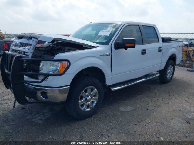 Photo 1 VIN: 1FTFW1EF7EKG47129 - FORD F-150 