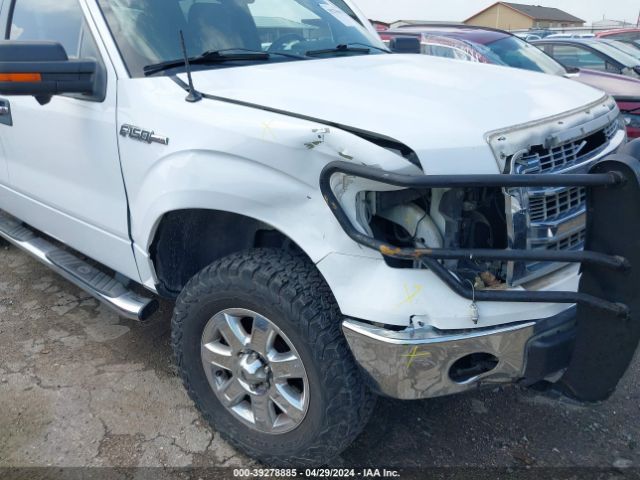 Photo 5 VIN: 1FTFW1EF7EKG47129 - FORD F-150 