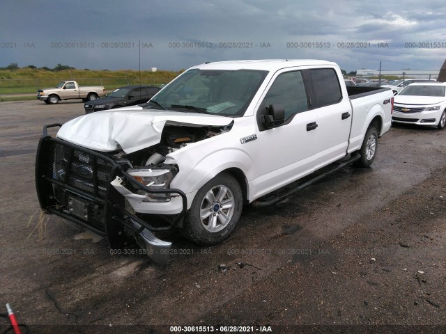 Photo 1 VIN: 1FTFW1EF7GKD60456 - FORD F-150 