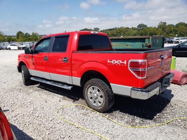 Photo 1 VIN: 1FTFW1EF8BFA31282 - FORD F150 SUPER 